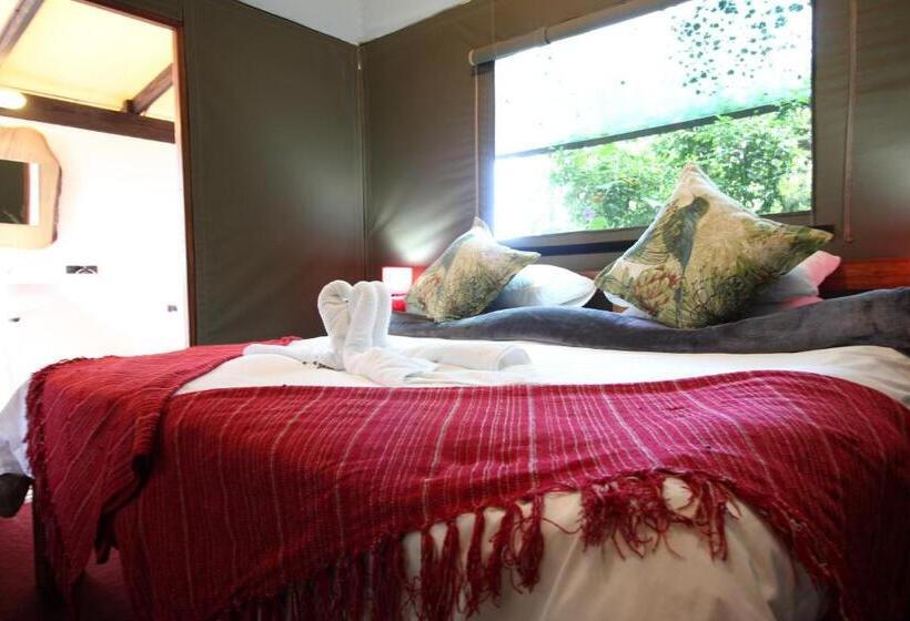 Standard Tent, Mali Boutique Lodge & Tube  N Axe Budget Accommodation