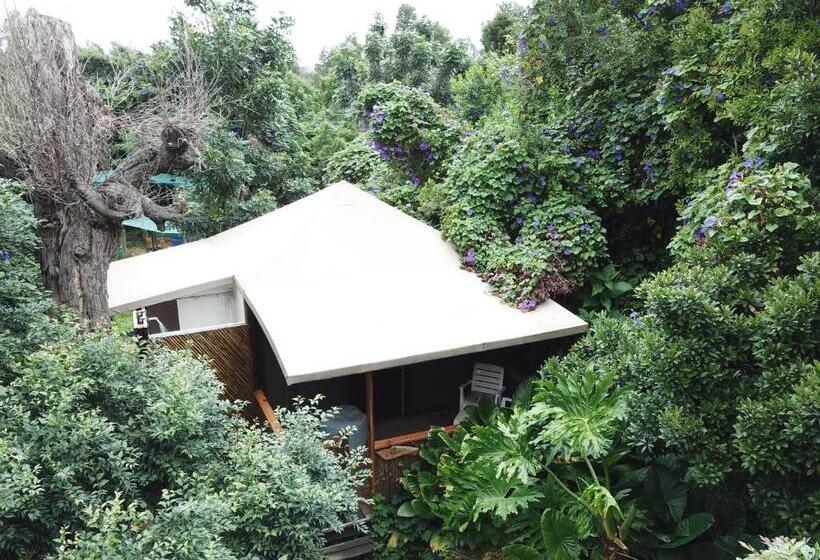 Standard Tent, Mali Boutique Lodge & Tube  N Axe Budget Accommodation