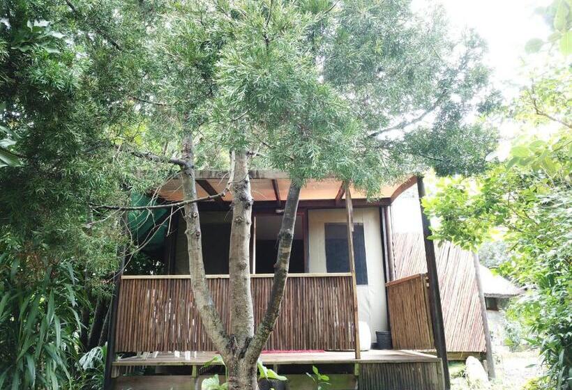 Standard Tent, Mali Boutique Lodge & Tube  N Axe Budget Accommodation