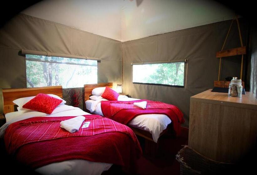 Standard Tent, Mali Boutique Lodge & Tube  N Axe Budget Accommodation