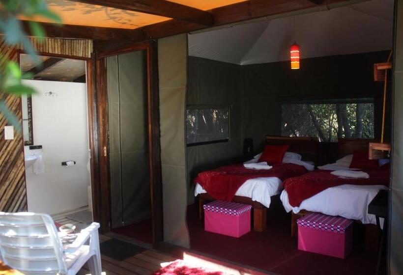 Standard Tent, Mali Boutique Lodge & Tube  N Axe Budget Accommodation