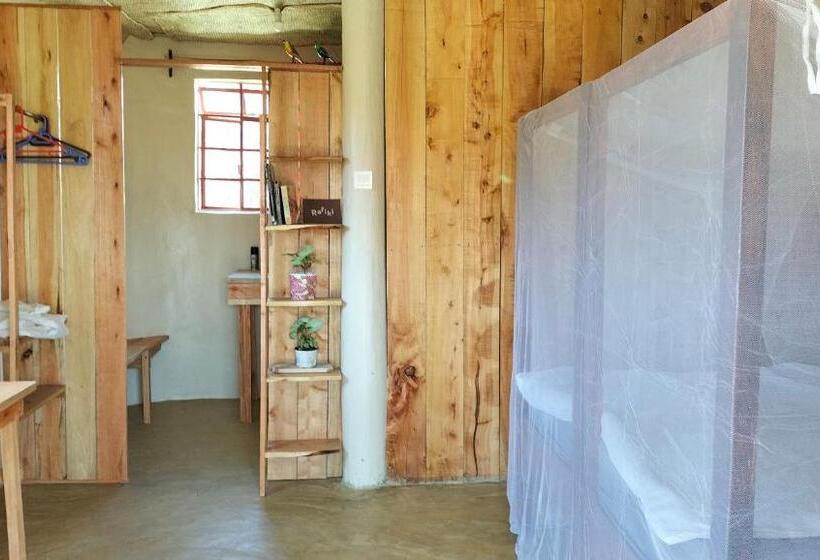 اتاق استاندارد, Beats Of Beads Trust