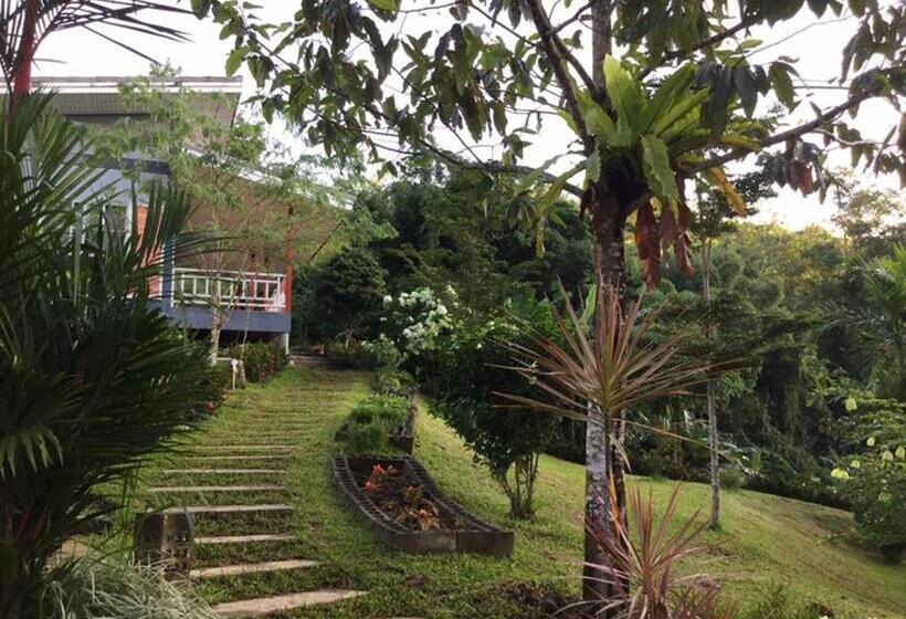 家庭套房, Bangnu Greenery Resort