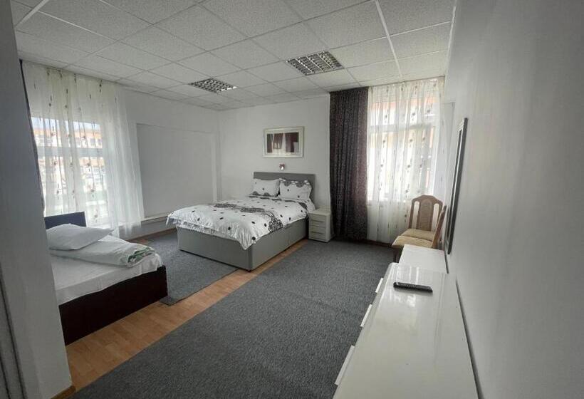 חדר סטודיו סטנדרד, Complex Garsoniere. Studio Rentals