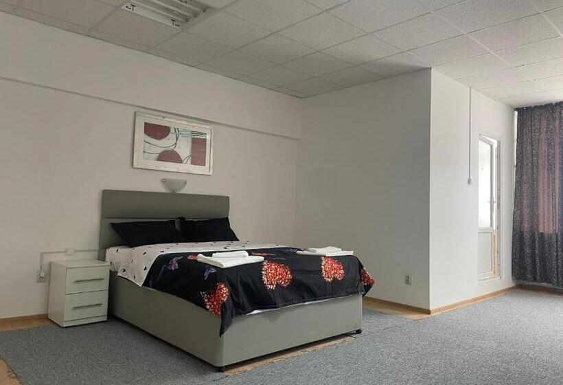 스탠다드 스튜디오, Complex Garsoniere. Studio Rentals