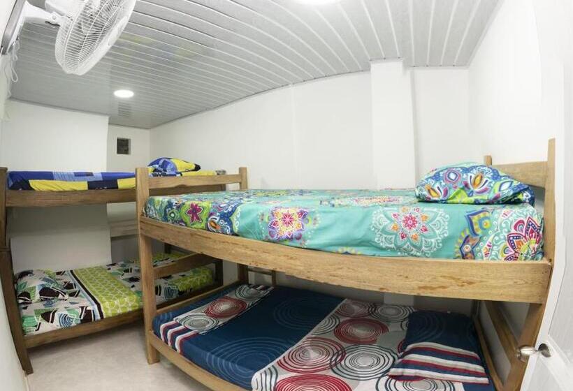 Apartamento 1 Dormitório com Terraço, Magic Horizont