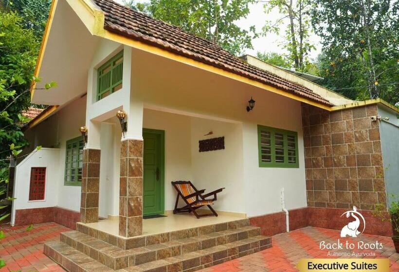 エクゼクティブスイート, Back To Roots Ayurveda Retreat