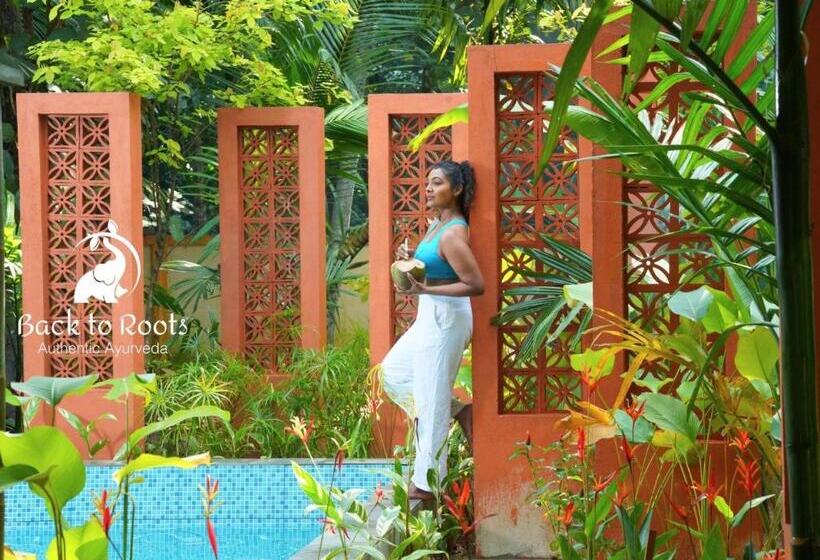 エクゼクティブスイート, Back To Roots Ayurveda Retreat