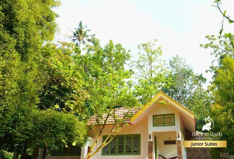 ジュニアスイート, Back To Roots Ayurveda Retreat