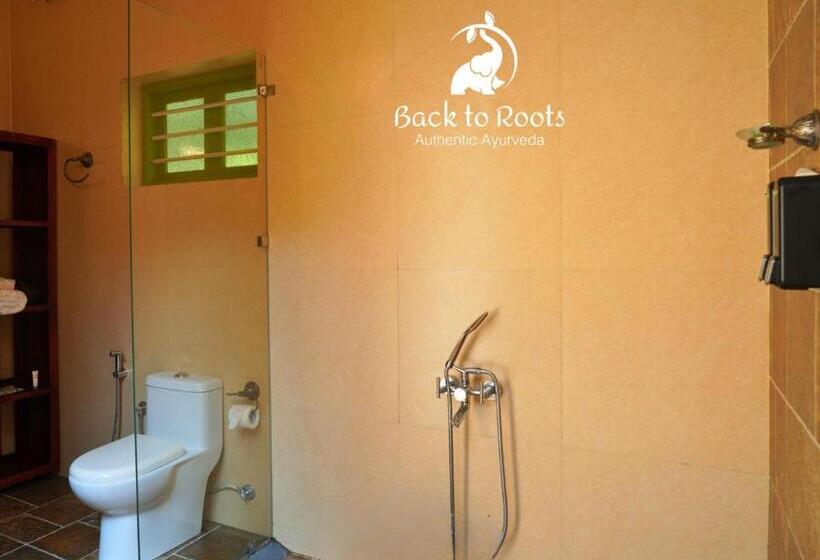 Полулюкс, Back To Roots Ayurveda Retreat