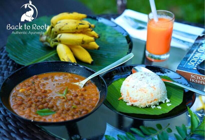 ジュニアスイート, Back To Roots Ayurveda Retreat