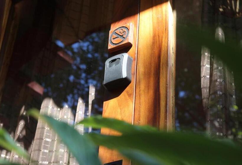 اتاق لوکس, Casa Ava