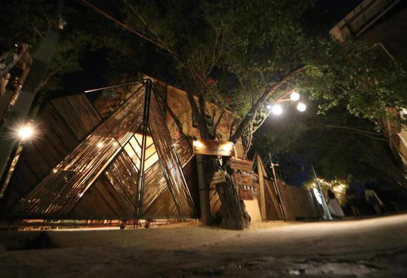 اتاق استاندارد, Casa Ava