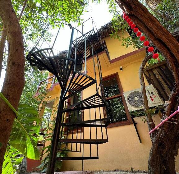 Номер Стандарт, Casa Ava