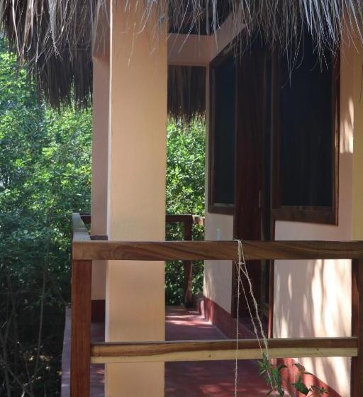 اتاق استاندارد, Casa Ava