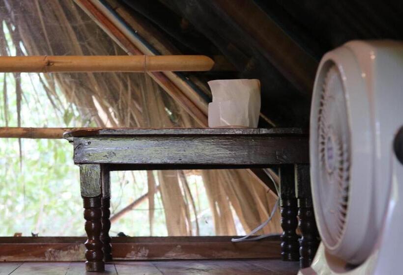 اتاق استاندارد, Casa Ava