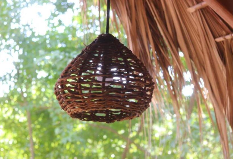 اتاق استاندارد, Casa Ava