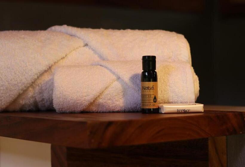 اتاق استاندارد, Casa Ava