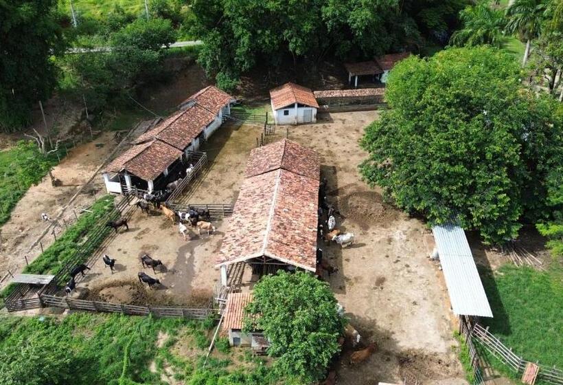 デラックスルーム, Fazenda Dos Coqueiros Bananal Sp