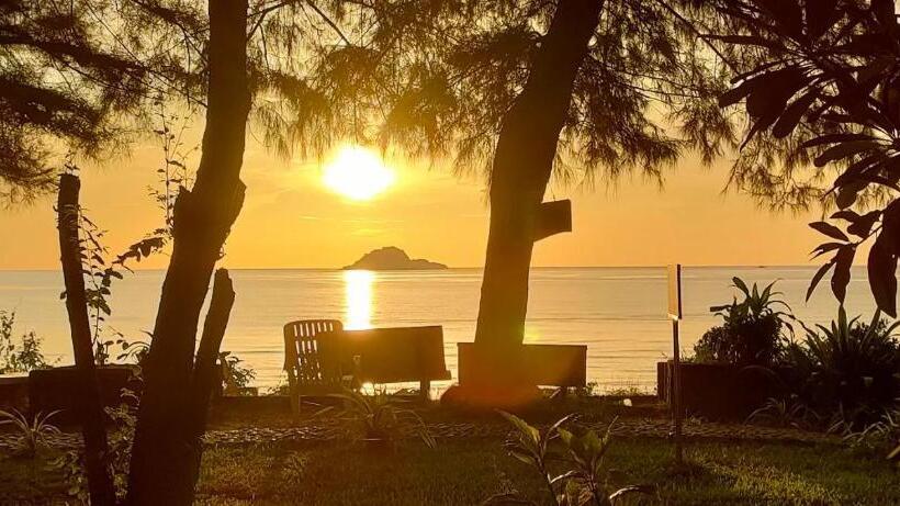 דירה בת חדר שינה 1 עם נוף, Turtle Nest