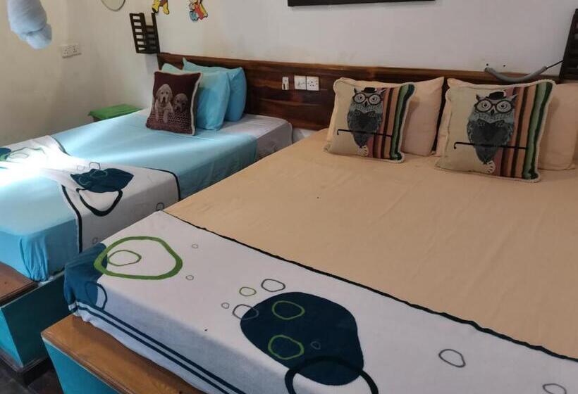 اتاق استاندارد, Nice View Safari Bungalow