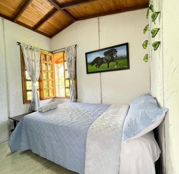 스탠다드 룸, Xplora Hostel