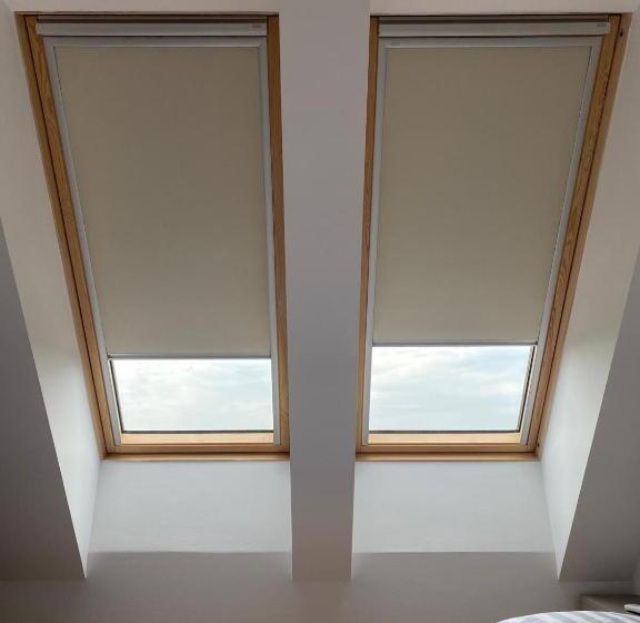 شقة ديلوكس غرفة نوم واحدة, Sklep 38