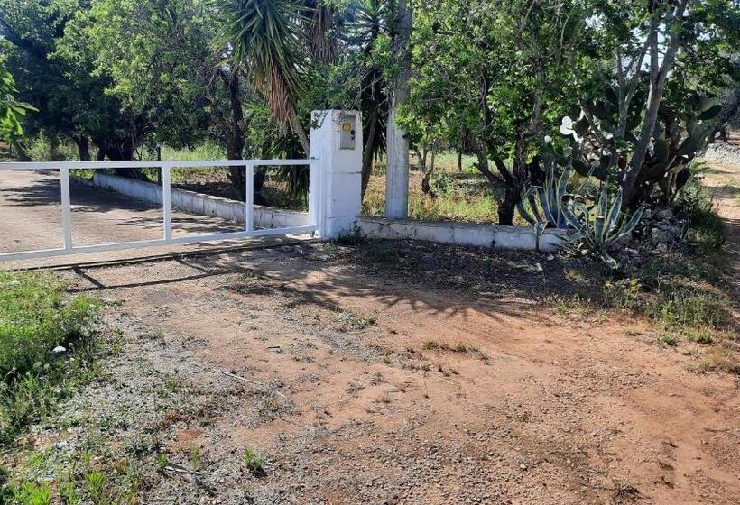 דירת חדר בקומת קרקע, Casa Trullo Bianco: Casa Vicino