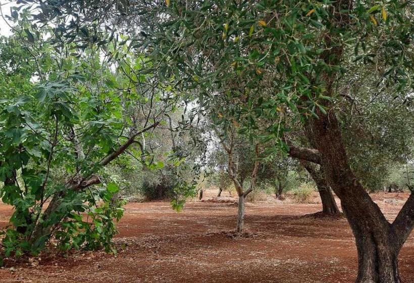 דירת חדר בקומת קרקע, Casa Trullo Bianco: Casa Vicino