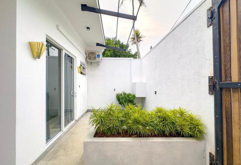 غرفة أساسية, Moringa Mirissa