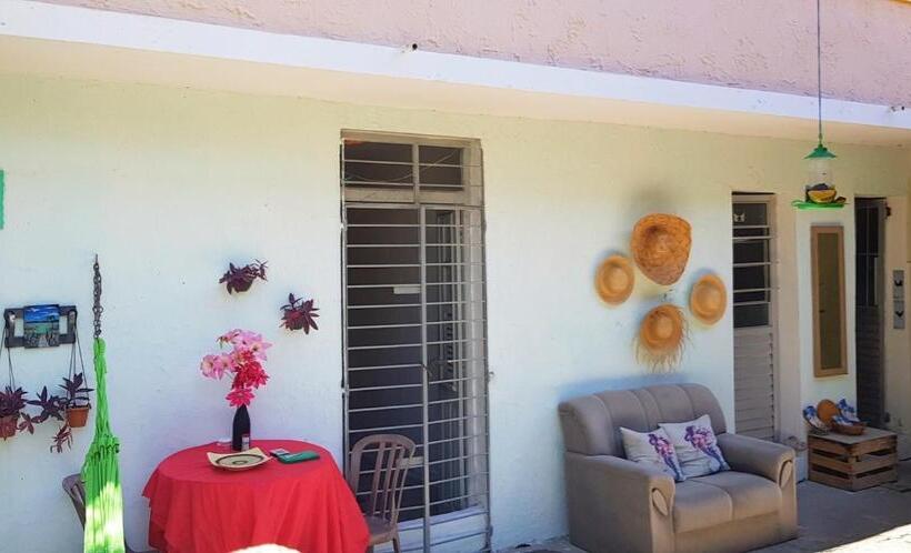 高级单人间, Acero Lar