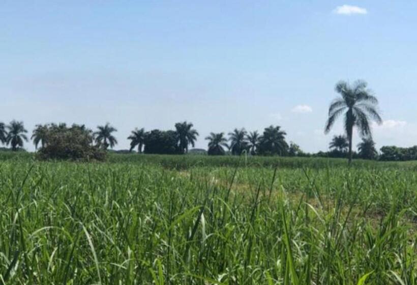 デラックススイート, Aparta Hotel Plenitud