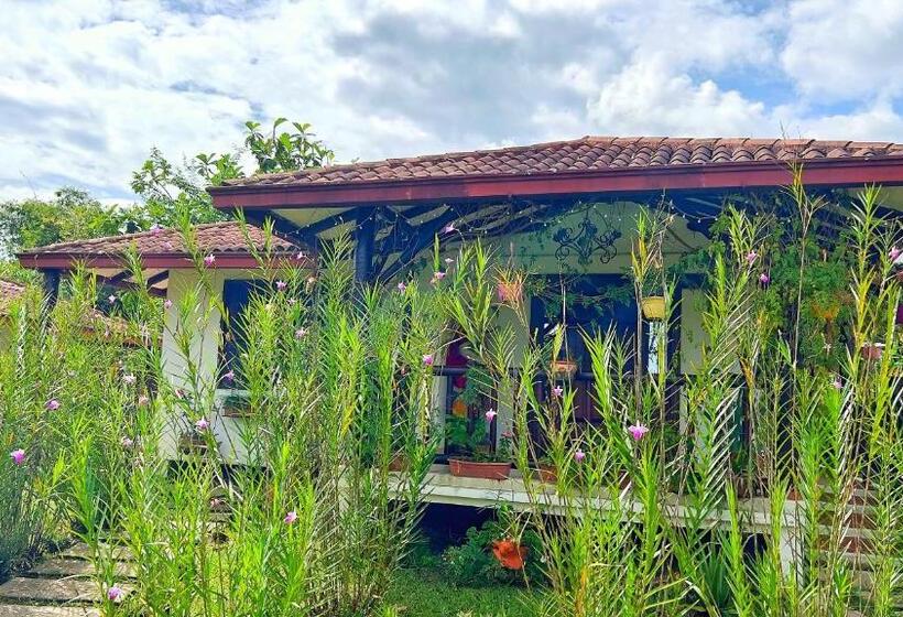 家庭套房, Kamelot Colonial