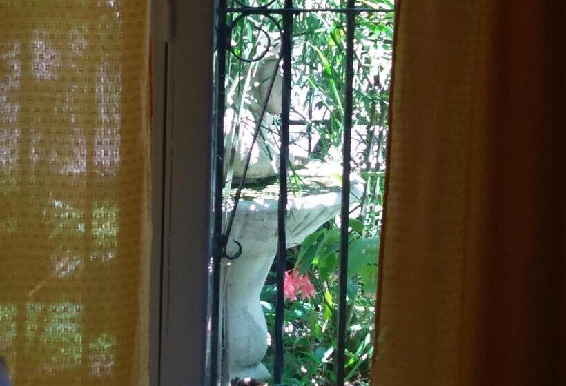 اتاق استاندارد چهارنفره با چشمانداز باغ, Hostal Green House