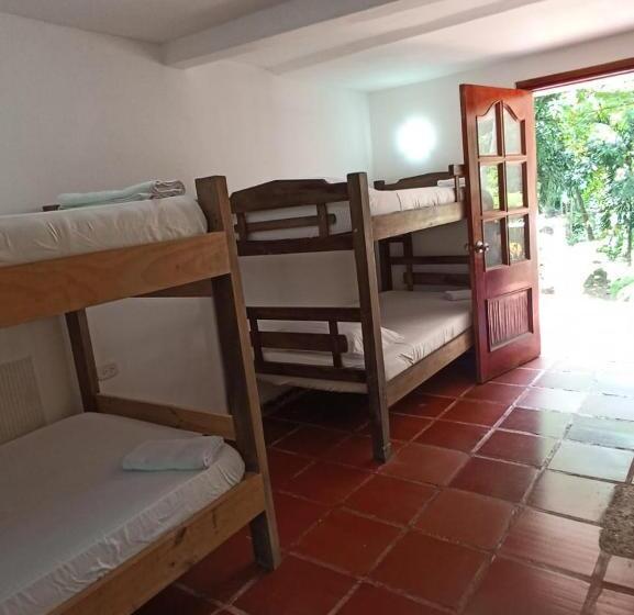 Семейный Номер, Santuario Tayrona Hostel