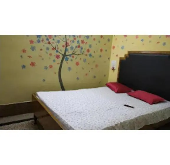 スタンダードルーム, Roxy Inn,cuttack