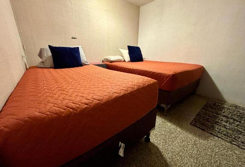 اتاق لوکس سه تخته, Nomad House