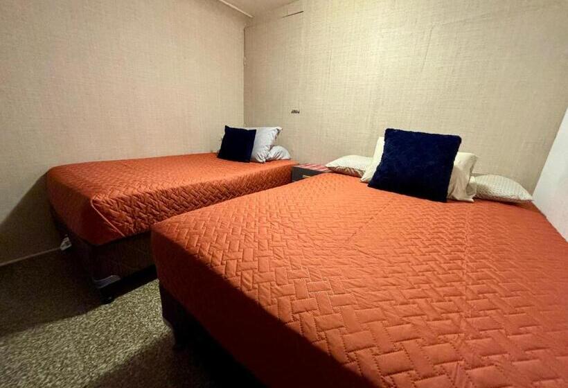 اتاق لوکس سه تخته, Nomad House