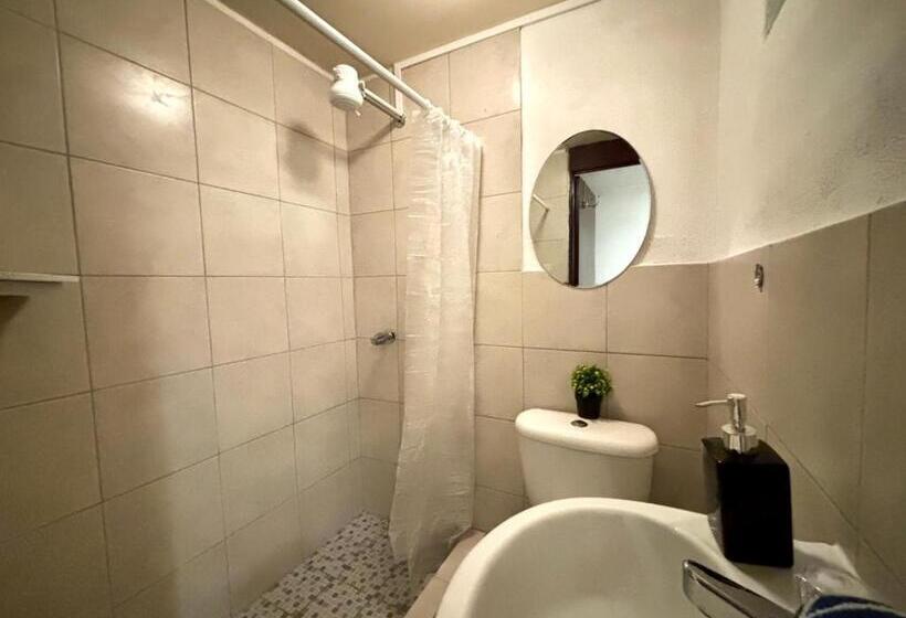 اتاق لوکس سه تخته, Nomad House