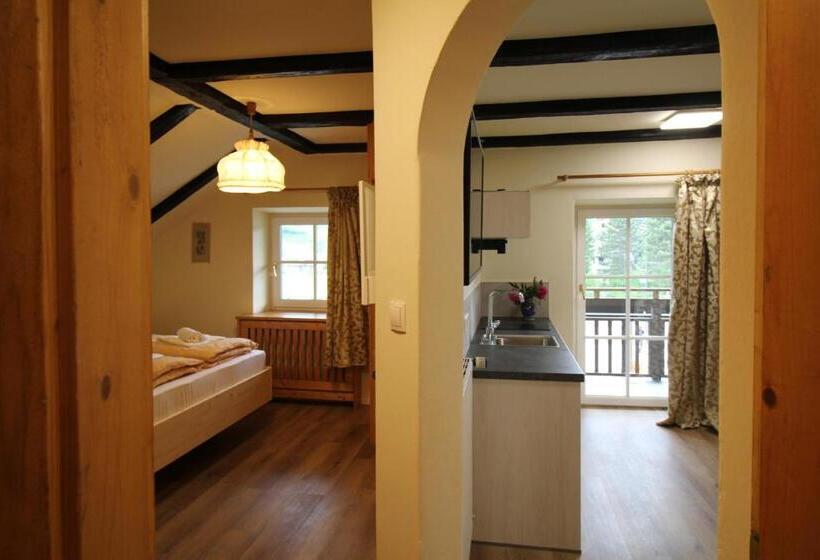 Апартаменты Deluxe 1 Спальня, Kaiserau 1907