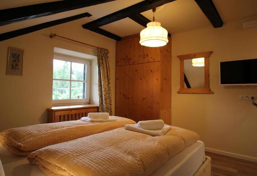 Апартаменты Deluxe 1 Спальня, Kaiserau 1907