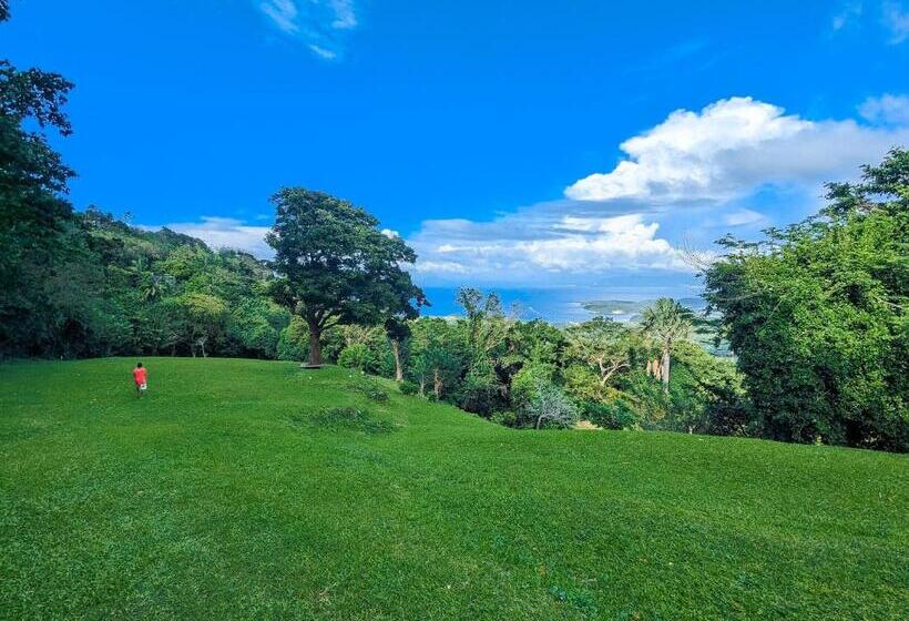 اتاق اساندارد با چشمانداز جانبی به دریا, Ponderosa Golf And Resort