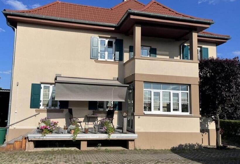 バルコニー付き１ベッドルームアパートメント, Haus Betty