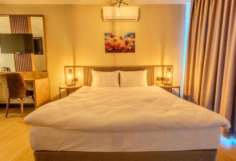 标准工作室, Leli̇ko Suites