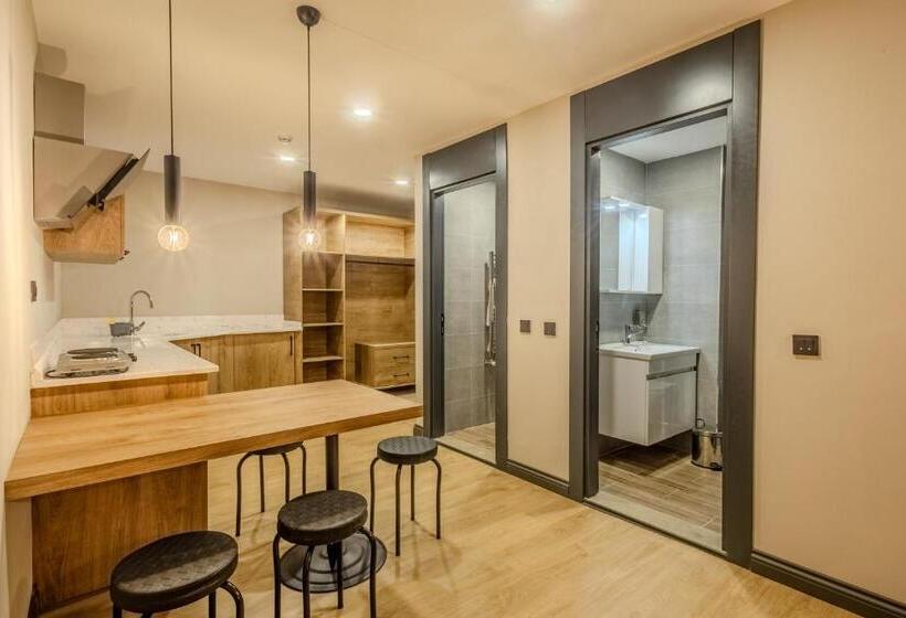 标准工作室, Leli̇ko Suites