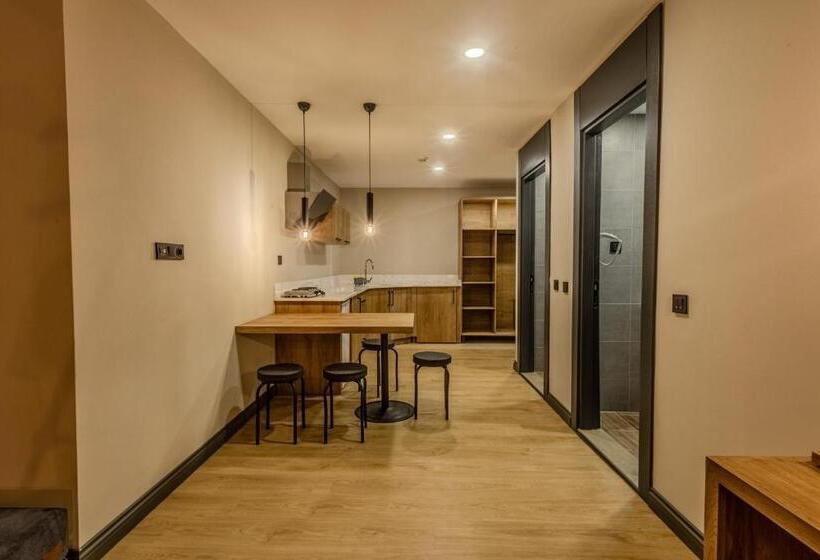 标准工作室, Leli̇ko Suites