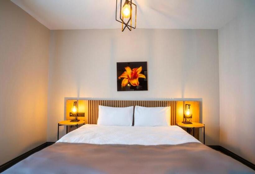 豪华三人间, Leli̇ko Suites