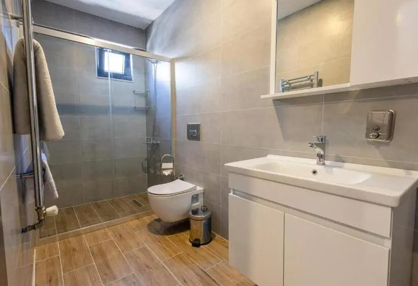 スタンダードルーム, Leli̇ko Suites