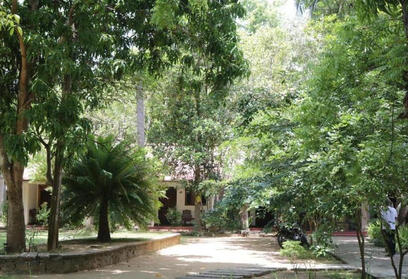 חדר אקונומי, Polonnaruwa Holiday Inn