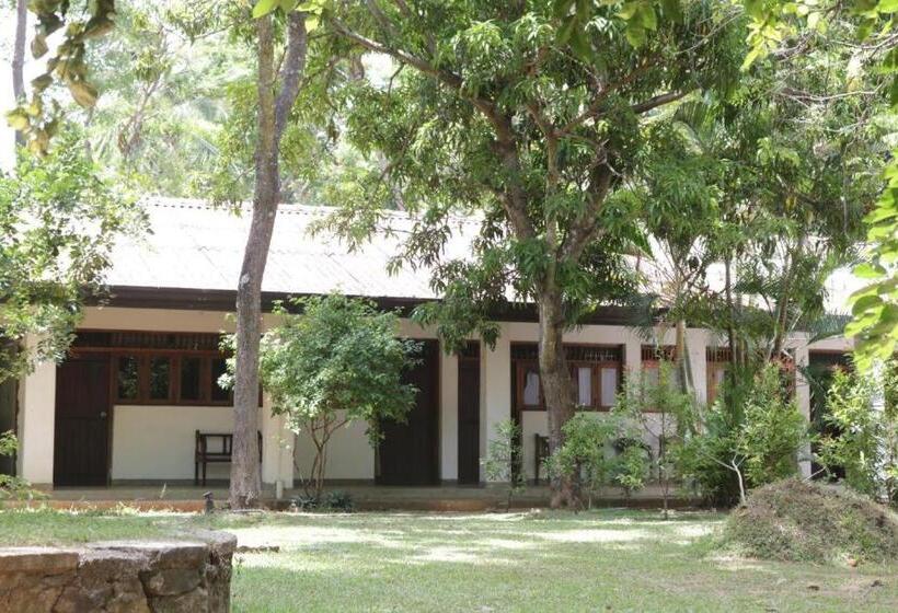 חדר אקונומי, Polonnaruwa Holiday Inn
